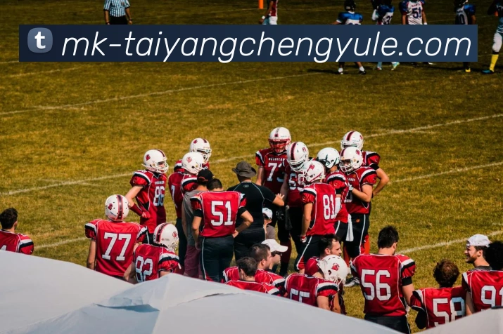 太阳城网站APP 封面图